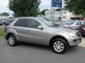 Pewter Metallic - ML 350 4Matic Photo No. 5