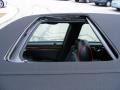 Black Raven - DeVille Sedan Photo No. 25