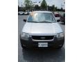 2002 Satin Silver Metallic Ford Escape XLT V6 4WD  photo #2