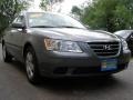Willow Gray - Sonata GLS Photo No. 1