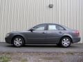 Willow Gray - Sonata GLS Photo No. 8