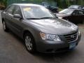 Willow Gray - Sonata GLS Photo No. 11