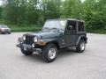 2003 Shale Green Metallic Jeep Wrangler Sahara 4x4  photo #1