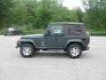 2003 Shale Green Metallic Jeep Wrangler Sahara 4x4  photo #6
