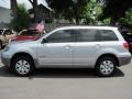 Cool Silver Metallic - Outlander LS Photo No. 12