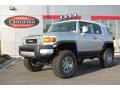 2008 Titanium Metallic Toyota FJ Cruiser 4WD  photo #1