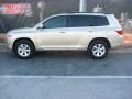 Sandy Beach Metallic - Highlander  Photo No. 1