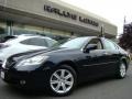 Black Onyx - ES 350 Photo No. 1