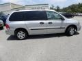 2007 Silver Frost Metallic Ford Freestar SE  photo #11