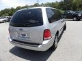2007 Silver Frost Metallic Ford Freestar SE  photo #12