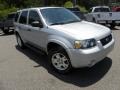 Silver Metallic - Escape XLT V6 Photo No. 1