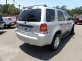 Silver Metallic - Escape XLT V6 Photo No. 15