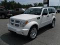 Stone White - Nitro Heat 4x4 Photo No. 1