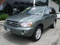 Oasis Green Pearl - Highlander Limited 4WD Photo No. 1