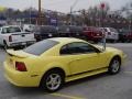 2002 Zinc Yellow Ford Mustang V6 Coupe  photo #2