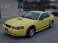 2002 Zinc Yellow Ford Mustang V6 Coupe  photo #13