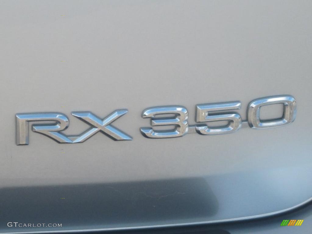 2009 RX 350 - Tungsten Pearl / Light Gray photo #6