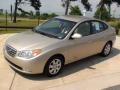 Laguna Sand - Elantra GLS Sedan Photo No. 12