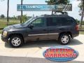 Graphite Gray Metallic - Envoy SLT 4x4 Photo No. 1