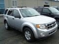 2010 Ingot Silver Metallic Ford Escape XLT  photo #2