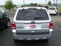 2010 Ingot Silver Metallic Ford Escape XLT  photo #4