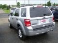 2010 Ingot Silver Metallic Ford Escape XLT  photo #5