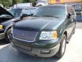 Aspen Green Metallic 2003 Ford Expedition XLT