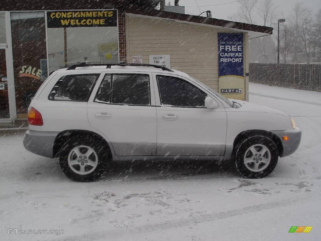 2004 Santa Fe GLS - Nordic White / Gray photo #1