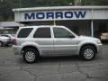 Silver Metallic - Mariner Luxury 4WD Photo No. 1