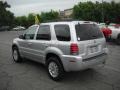 Silver Metallic - Mariner Luxury 4WD Photo No. 4
