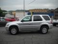 Silver Metallic - Mariner Luxury 4WD Photo No. 5