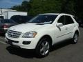 Arctic White - ML 350 4Matic Photo No. 1