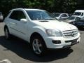 Arctic White - ML 350 4Matic Photo No. 3