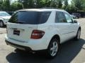 Arctic White - ML 350 4Matic Photo No. 4