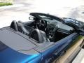 Caspian Blue Metallic - SLK 350 Roadster Photo No. 11