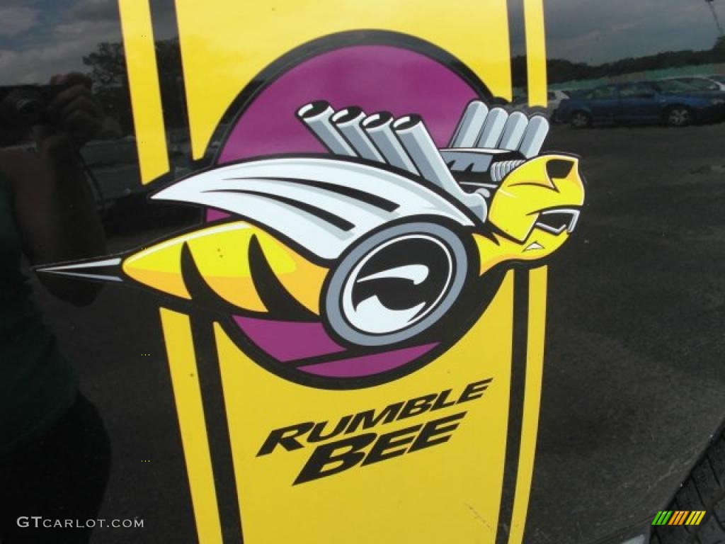 2004 Ram 1500 Rumble Bee Regular Cab 4x4 - Black / Dark Slate Gray photo #30