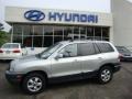 Pewter - Santa Fe GLS 3.5 Photo No. 1
