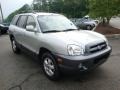 Pewter - Santa Fe GLS 3.5 Photo No. 5