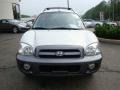 Pewter - Santa Fe GLS 3.5 Photo No. 6