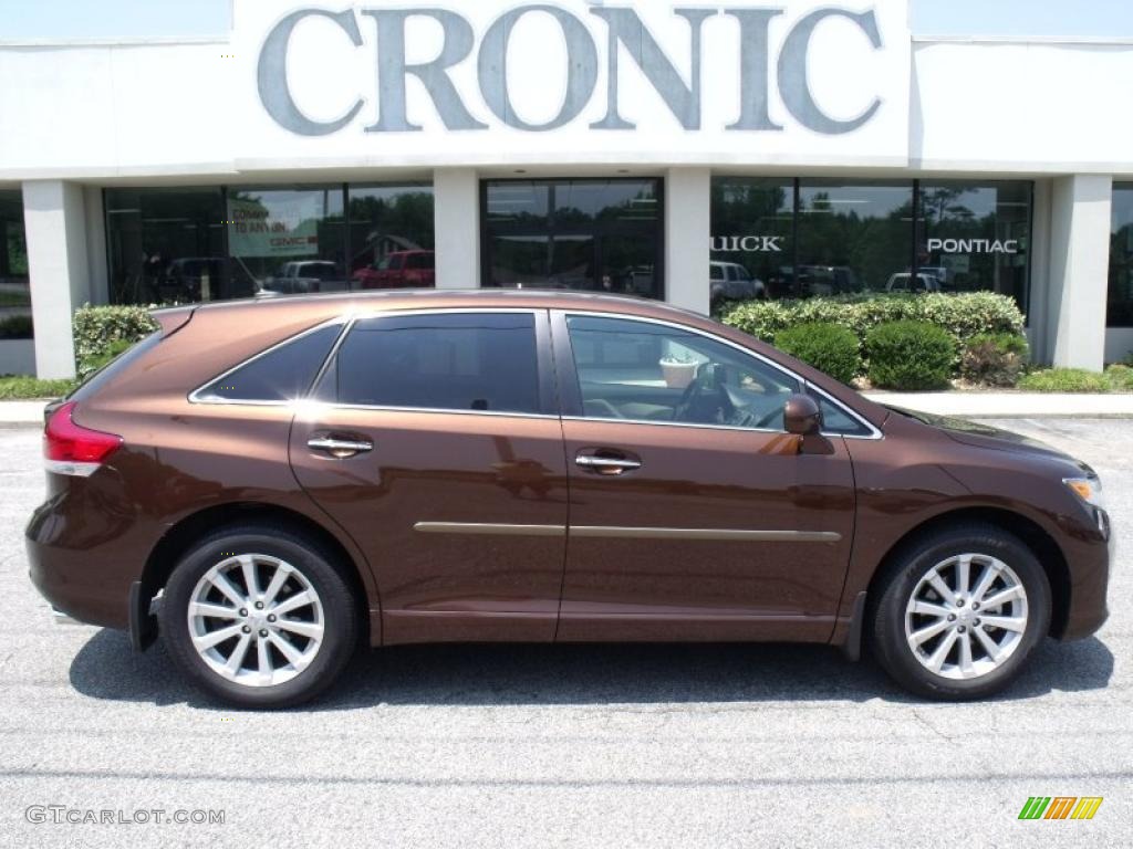 2009 Venza I4 - Sunset Bronze Mica / Ivory photo #1