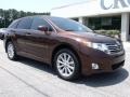 2009 Sunset Bronze Mica Toyota Venza I4  photo #2