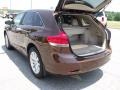 2009 Sunset Bronze Mica Toyota Venza I4  photo #15