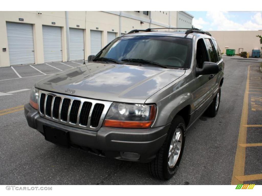 2000 Grand Cherokee Laredo 4x4 - Champagne Pearlcoat / Agate photo #16