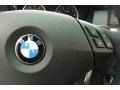 Jet Black - 5 Series 528xi Sedan Photo No. 41