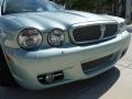 2008 Seafrost Metallic Jaguar XJ Vanden Plas  photo #8