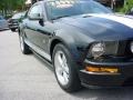 2008 Black Ford Mustang GT Deluxe Coupe  photo #2