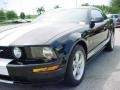 2008 Black Ford Mustang GT Deluxe Coupe  photo #12