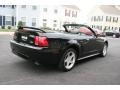 2000 Black Ford Mustang GT Convertible  photo #6