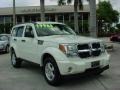 Stone White - Nitro SE 4x4 Photo No. 1
