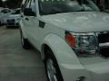 Stone White - Nitro SE 4x4 Photo No. 2